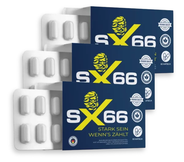 SX66 Avis